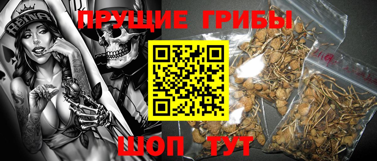 Галлюциногенные грибы прущие грибы  где продают наркотики  Саратов  Вход с VPN 